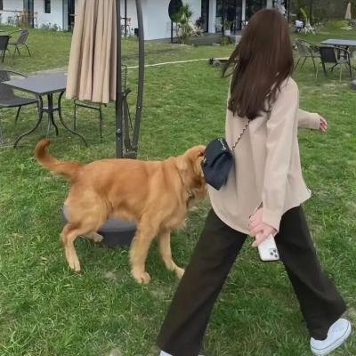 杰出的女性