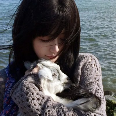 威龙猛探